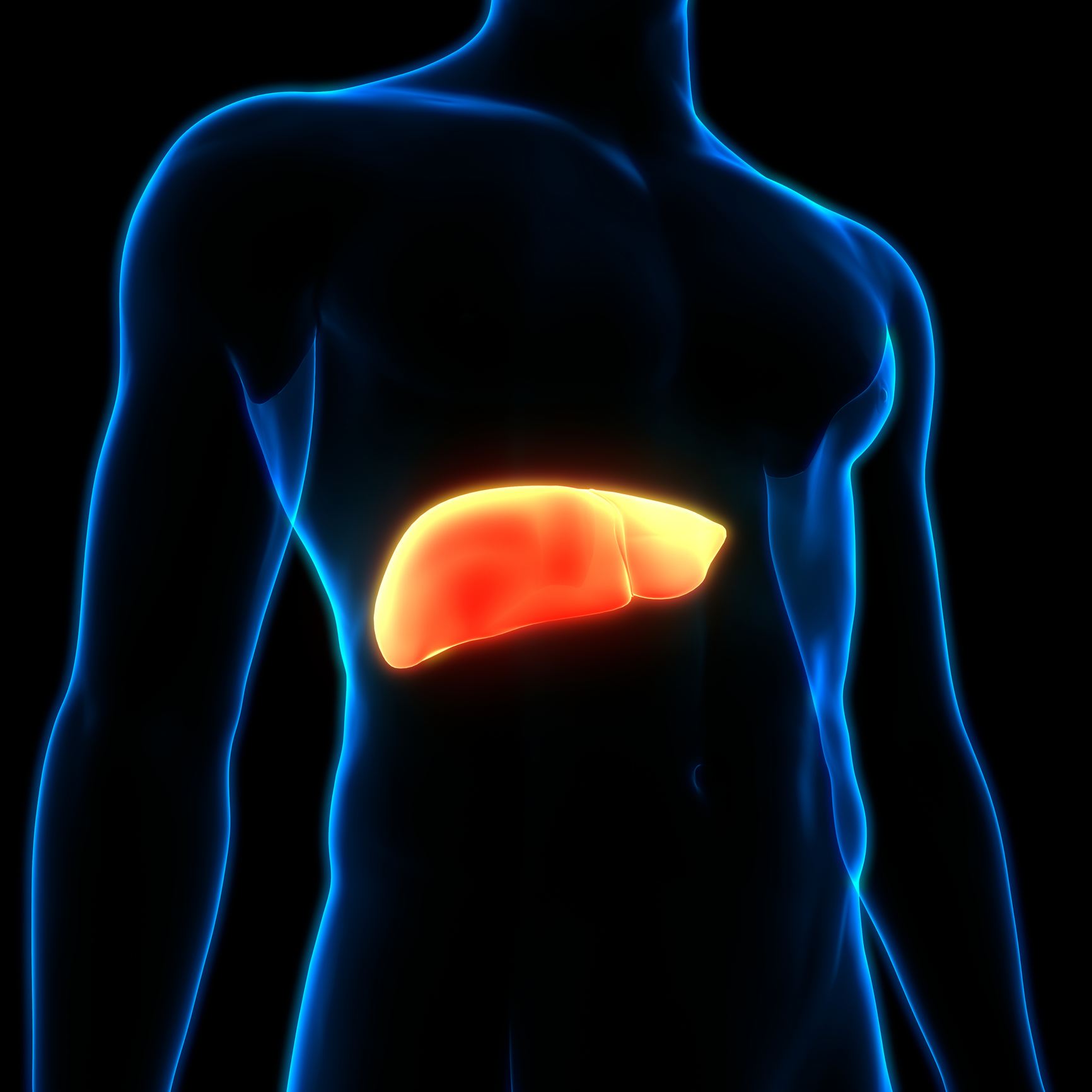 Causes of Fatty Liver Disease Allied Digestive Health