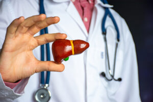 A doctor holding a model of a human liver, with a stethoscope around their neck, indicating a focus on Hepatitis C.